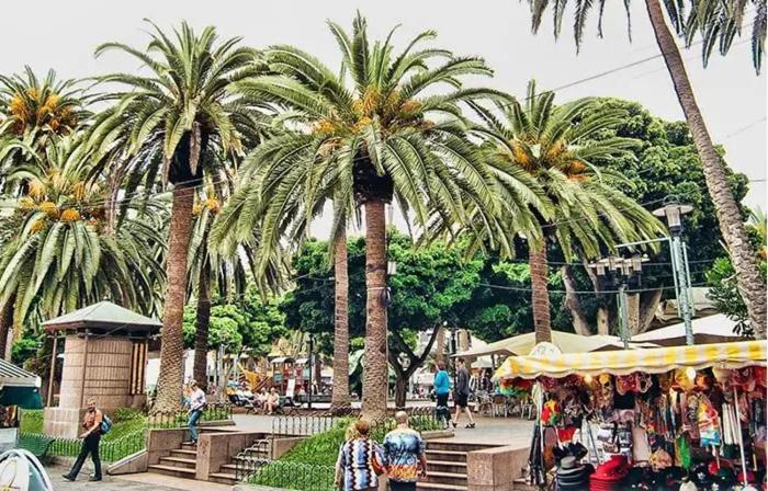 Vulcano Paradise Puerto de la Cruz  Ngoại thất bức ảnh